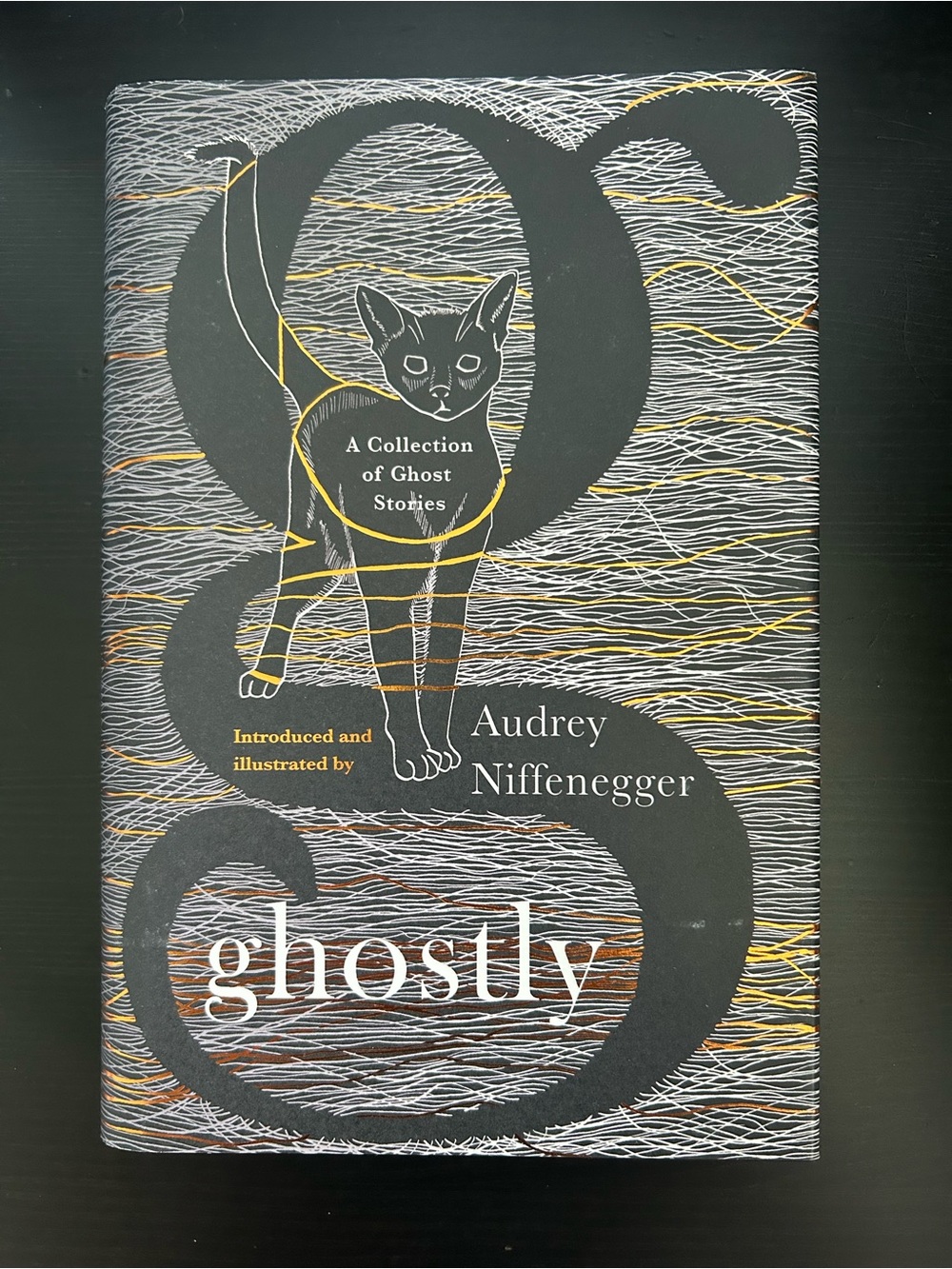 5/$25 Ghostly by Audrey Niffenegger - A collection of Ghost Stories
